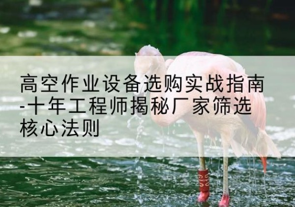 沙湾剪叉式升降机厂家-高空作业设备选购实战指南-十年工程师揭秘厂家筛选核心法则