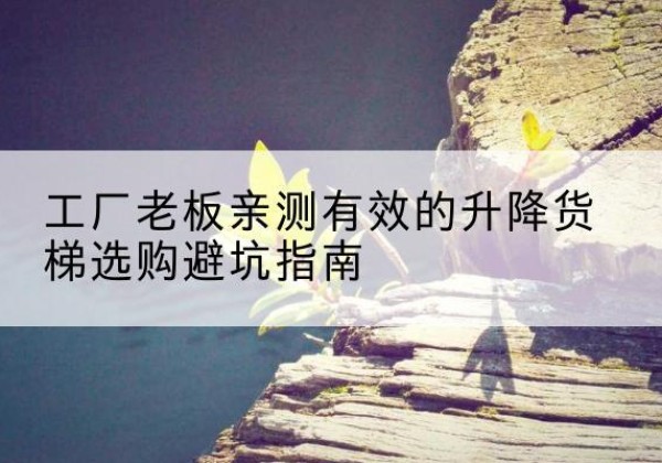 沙湾升降货梯怎么选-工厂老板亲测有效的升降货梯选购避坑指南